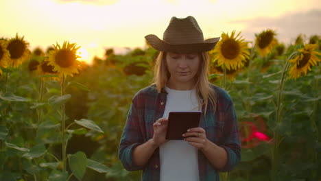 A-young-female-student-walks-across-the-field-with-big-yellow-sunflowers-and-examines-them.-She-writes-their-characteristics-to-ipad.
